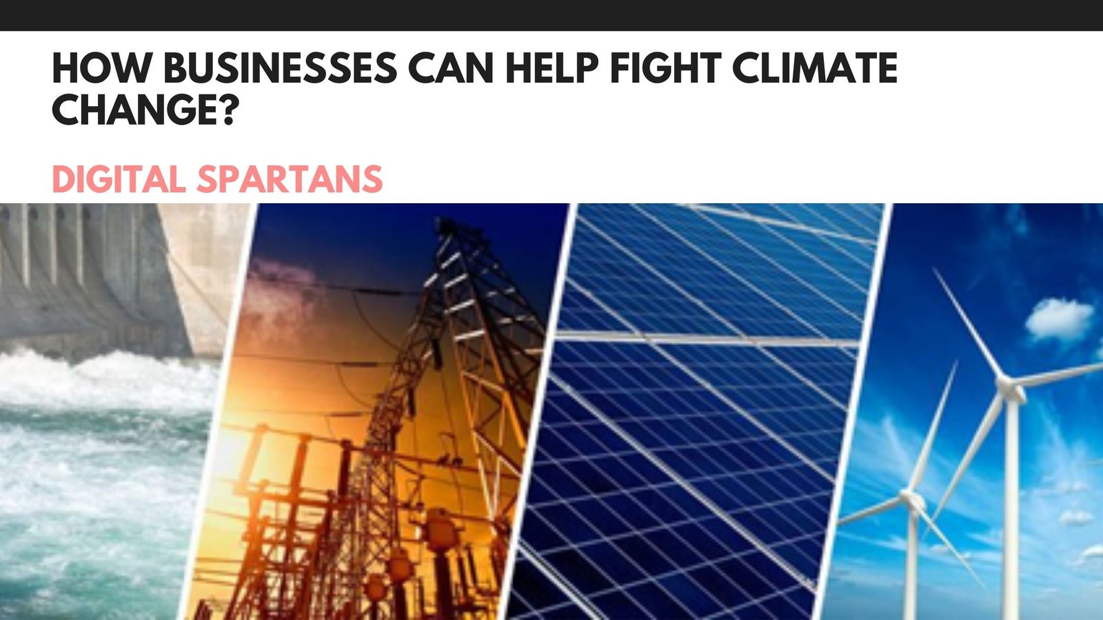 How Businesses Can Help Fight Climate Change