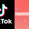 TikTok is rolling out a new text-only feature in an attempt to rival Elon Musk’s Twitter