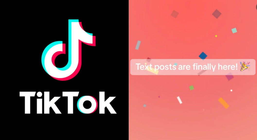 TikTok is rolling out a new text-only feature in an attempt to rival Elon Musk's Twitter. 