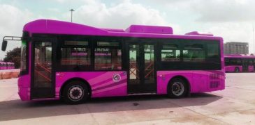 Women-only pink buses soon to have female drivers