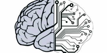 Brain vs Computer: Which is More Intelligent?
