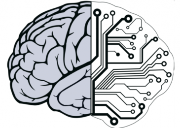Brain vs Computer: Which is More Intelligent?