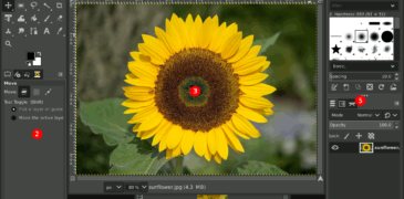 5 Best Free Photo Editing Tools in 2024