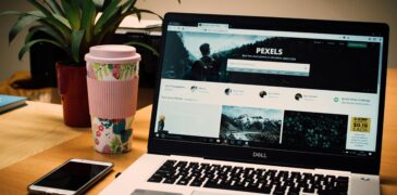 Top 5 Websites for Free Stock Photos