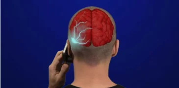 WHO Study Reveals No Link Between Mobile Phones and Brain Cancer
