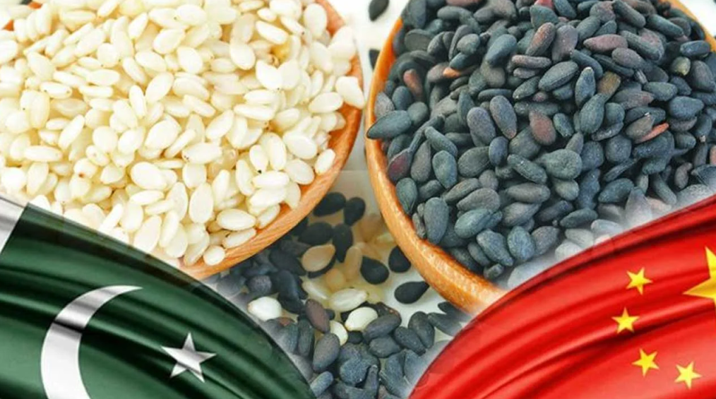 Sesame exports