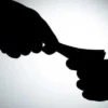JIT Exposes Massive Land Fraud Scheme in Islamabad's Cyan Farms Case